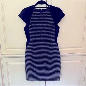 NBW J. Crew Double Stripe Tweed Dress Navy Blue